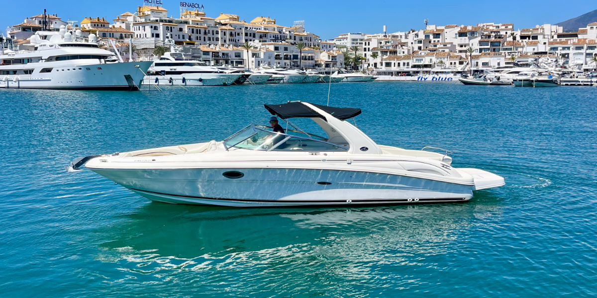 Sea Ray 290