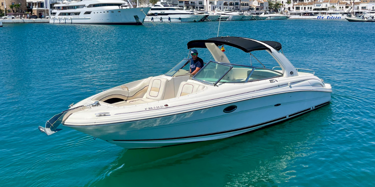 Sea Ray 290