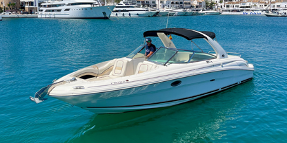 Sea Ray 290