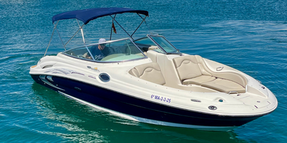 Sea Ray 270