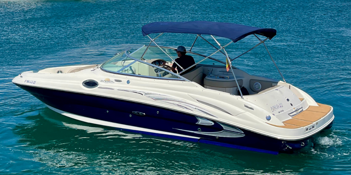 Sea Ray 270