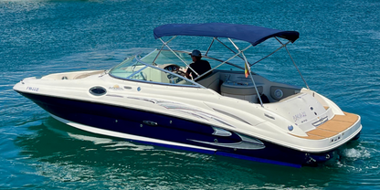 Sea Ray 270