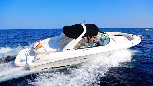 Sea Ray 290